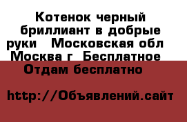 Котенок черный бриллиант в добрые руки - Московская обл., Москва г. Бесплатное » Отдам бесплатно   